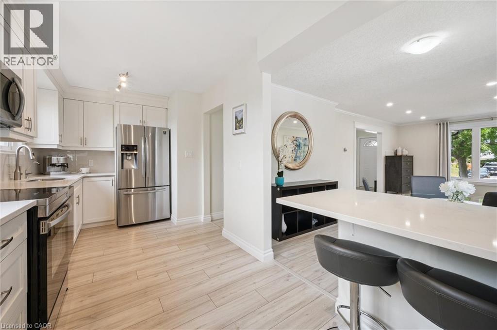 Contemporary kitchen featuring wood-finish flooring, white cabinetry, stainless steel appliances, and light countertops