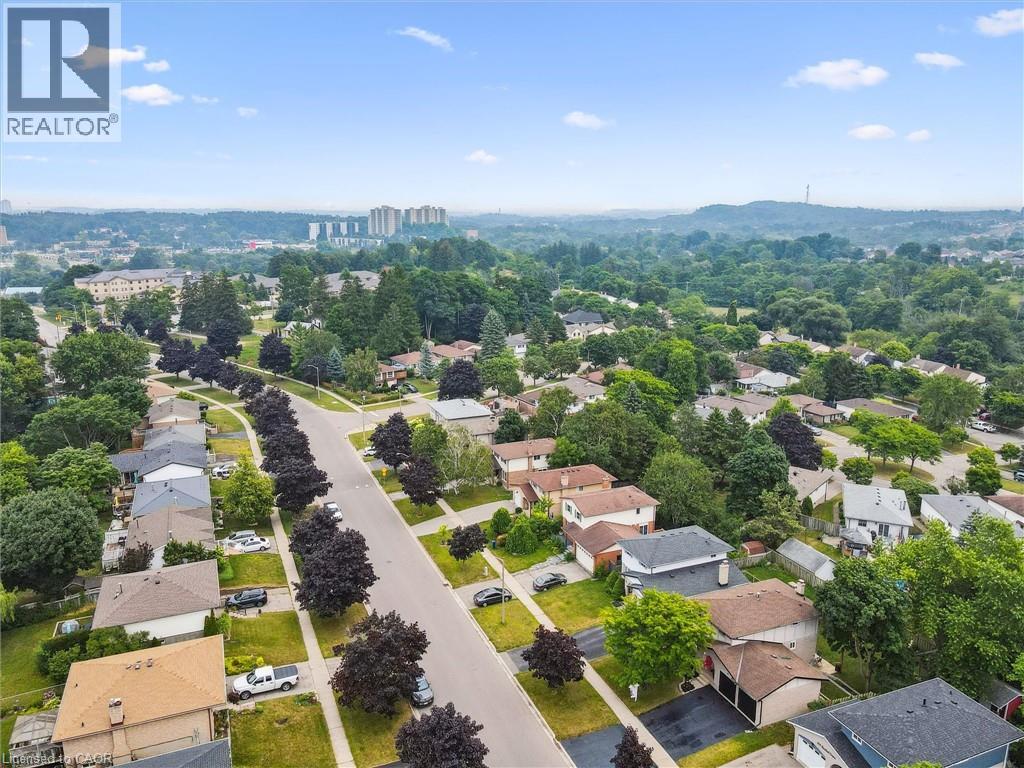 Residential neighborhood featuring mature trees and established homes