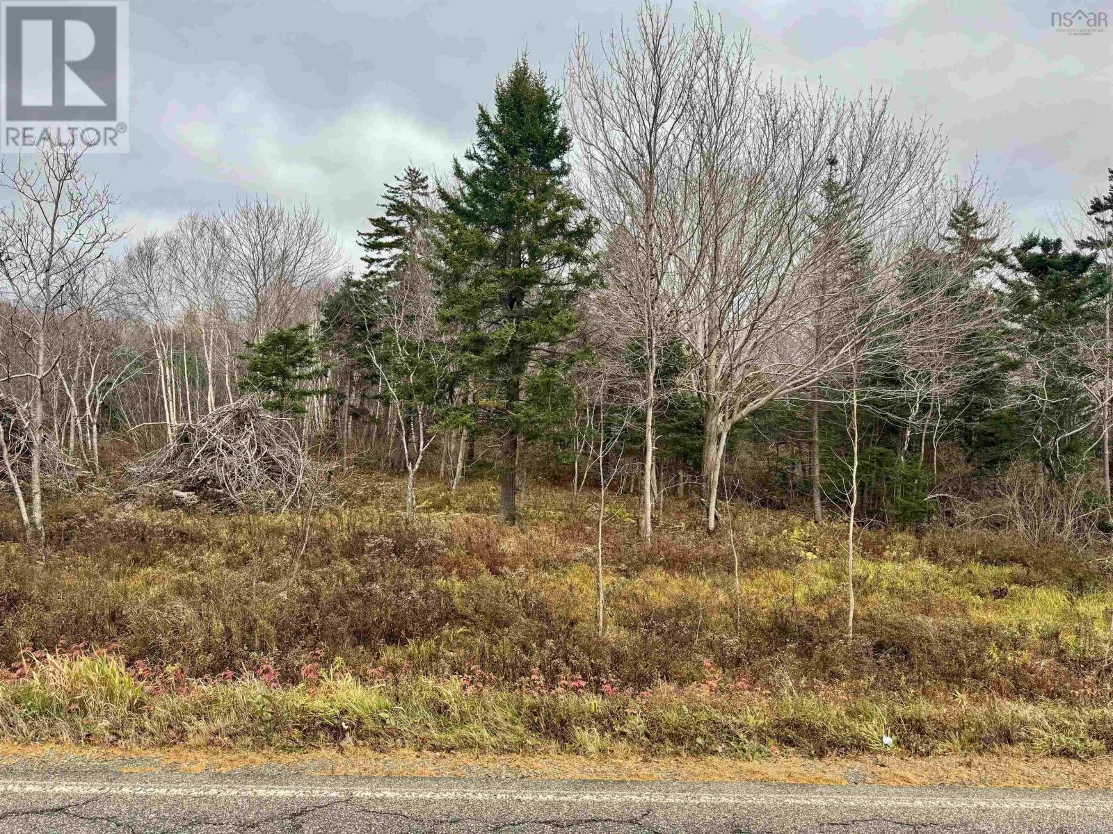 NO 340 Highway — photo 3