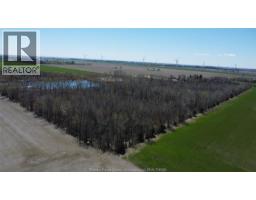3703 Goodreau Line, Coatsworth, ON N0P1H0 Photo 9