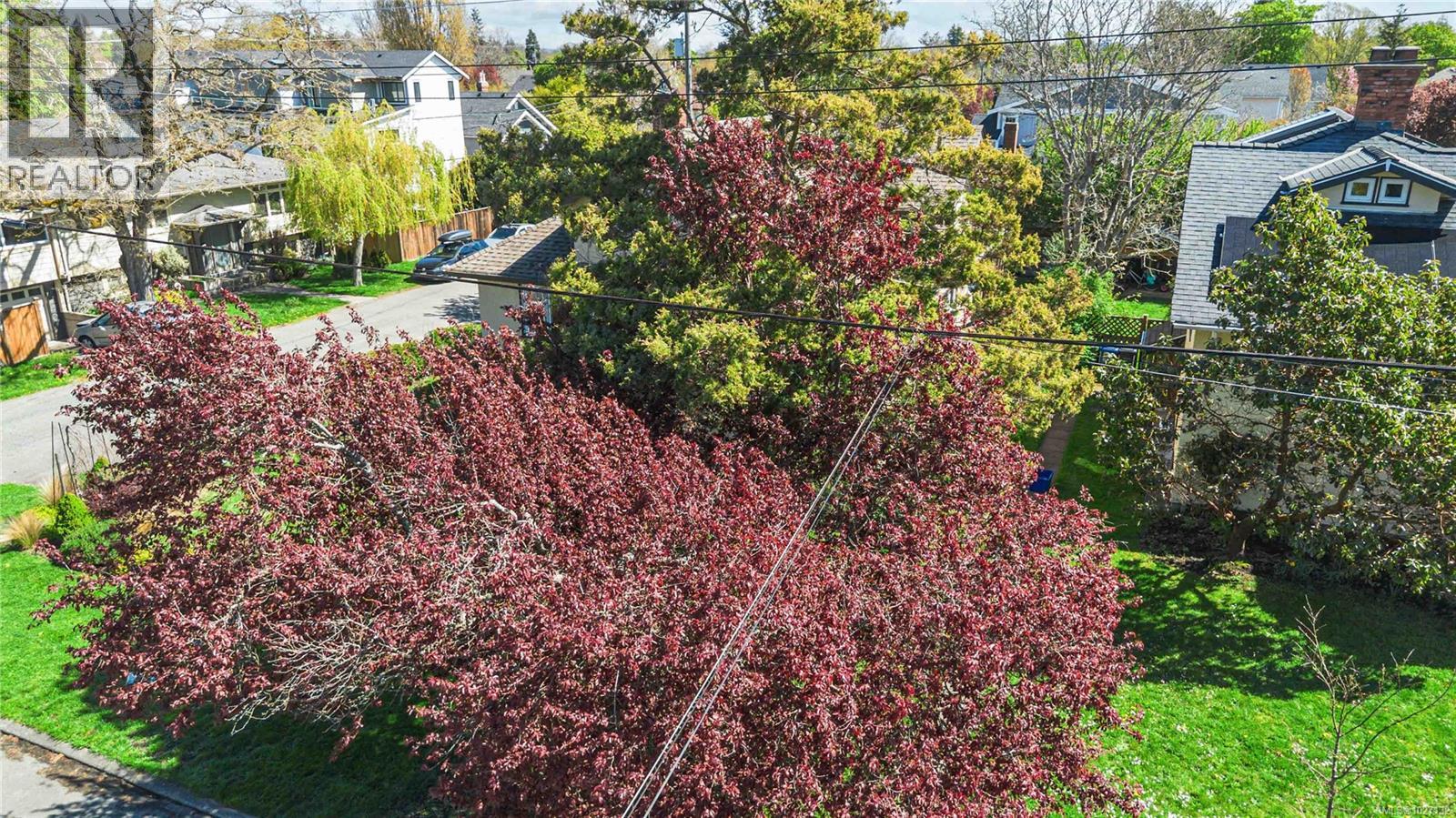  895 Falkland Road, Oak Bay