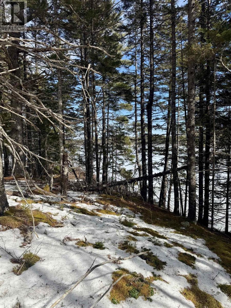 Lot 11 Island View Drive — photo 8