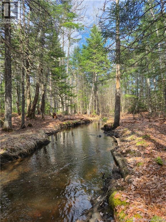 LOT 25-1 Niagara Road — photo 7