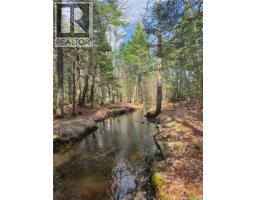 Lot 25-1 Niagara Road, Pine Glen, NB E1J1S4 Photo 7