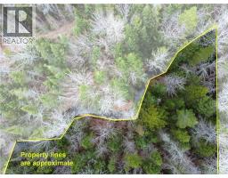 Lot 25-1 Niagara Road, Pine Glen, NB E1J1S4 Photo 10