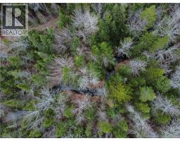 Lot 25-1 Niagara Road, Pine Glen, NB E1J1S4 Photo 6