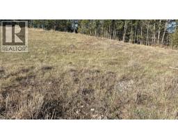 Lot 1 Cooper Road Lot# 1, Windermere, BC V0B1L0 Photo 9