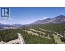Lot 1 Cooper Road Lot# 1, Windermere, BC V0B1L0 Photo 21