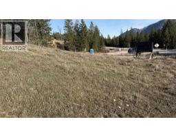 Lot 1 Cooper Road Lot# 1, Windermere, BC V0B1L0 Photo 12