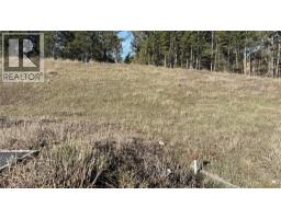 Lot 1 Cooper Road Lot# 1, Windermere, BC V0B1L0 Photo 10