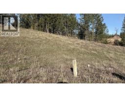 Lot 1 Cooper Road Lot# 1, Windermere, BC V0B1L0 Photo 11