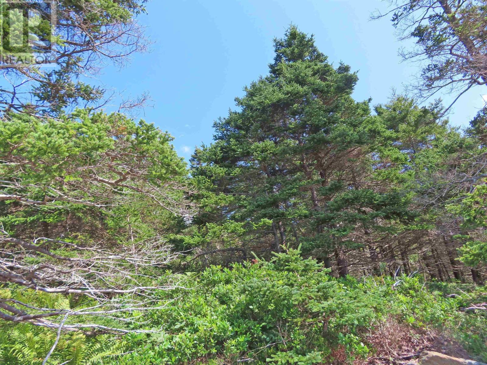 Property 20 of 25 of Lot 4 316 Hwy (Grovers Point)