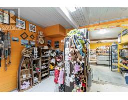 Lot 1-a 3242 Highway 217, Tiverton, NS B0V1G0 Photo 33