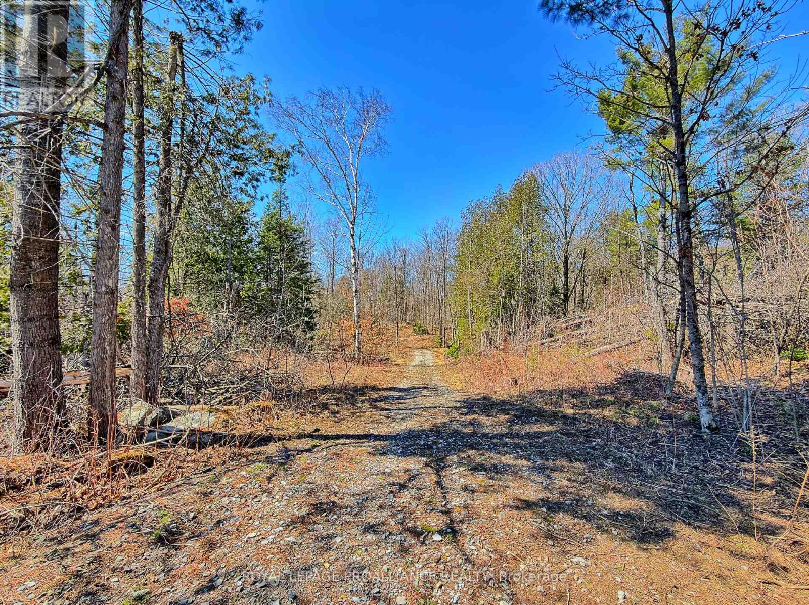 812 CLEVELAND ROAD - 28