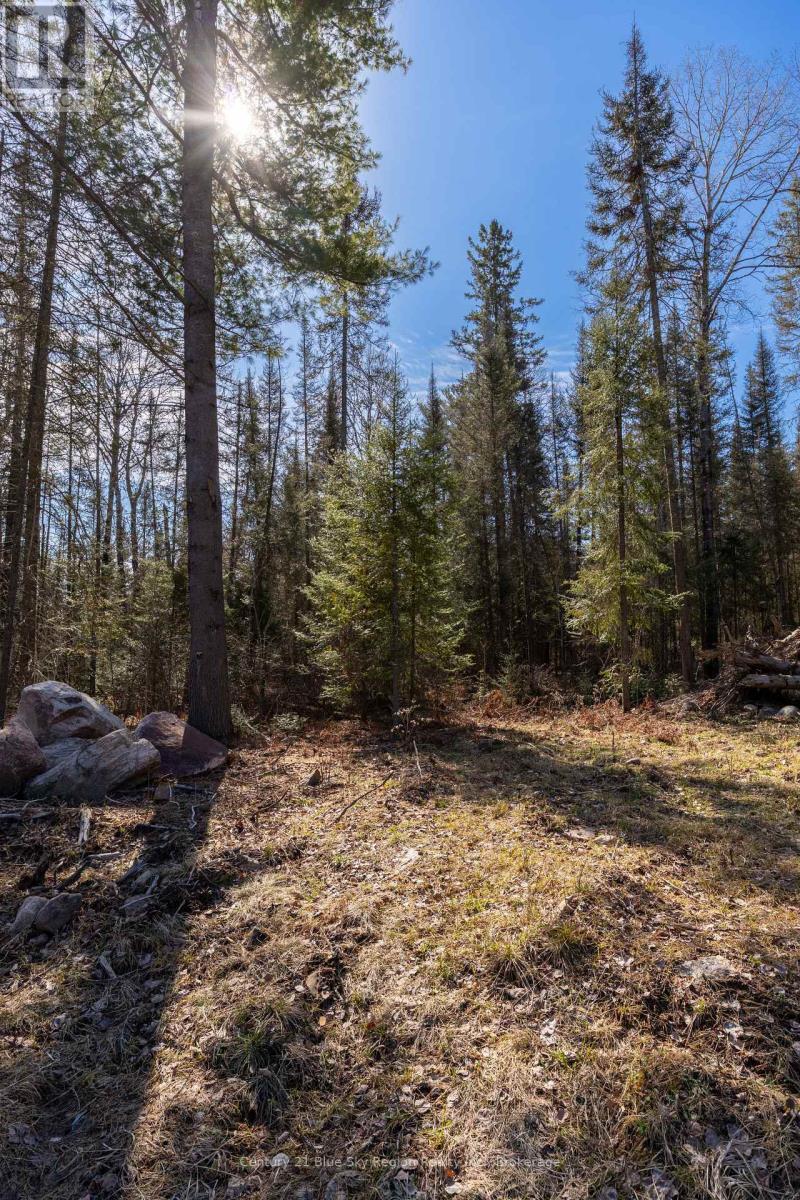 144 LAVIGNE ROAD — photo 3