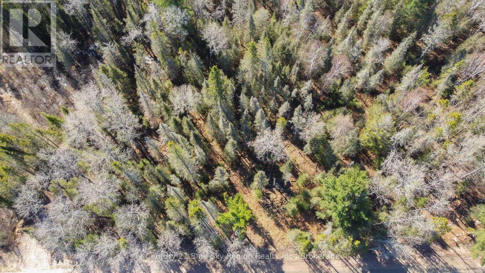 144 LAVIGNE ROAD — photo 5