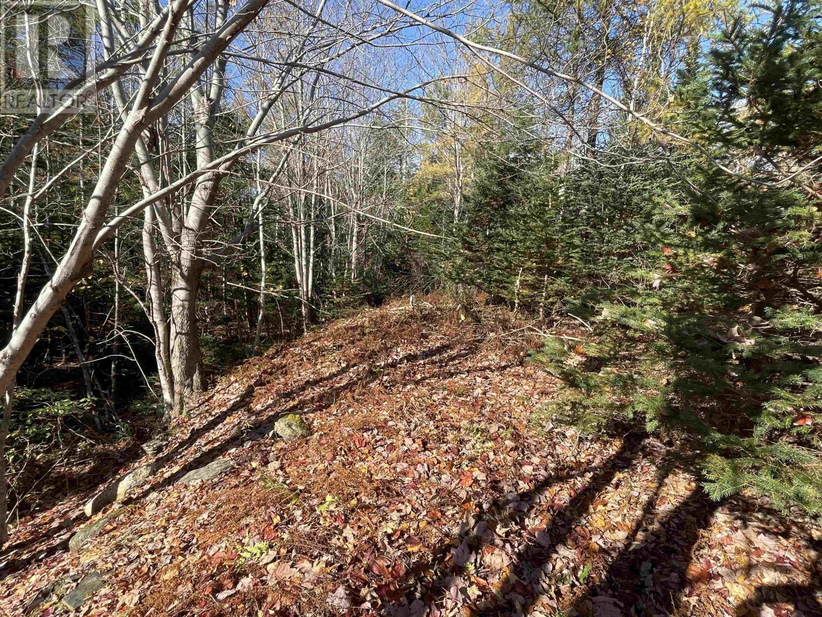 Mosher Road — photo 2