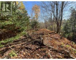 Mosher Road, Conrod Settlement, NS B0J2L0 Photo 6