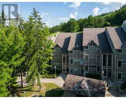 121 - 796404 Grey Road 19, Blue Mountains, ON L9Y0N8 Photo 36