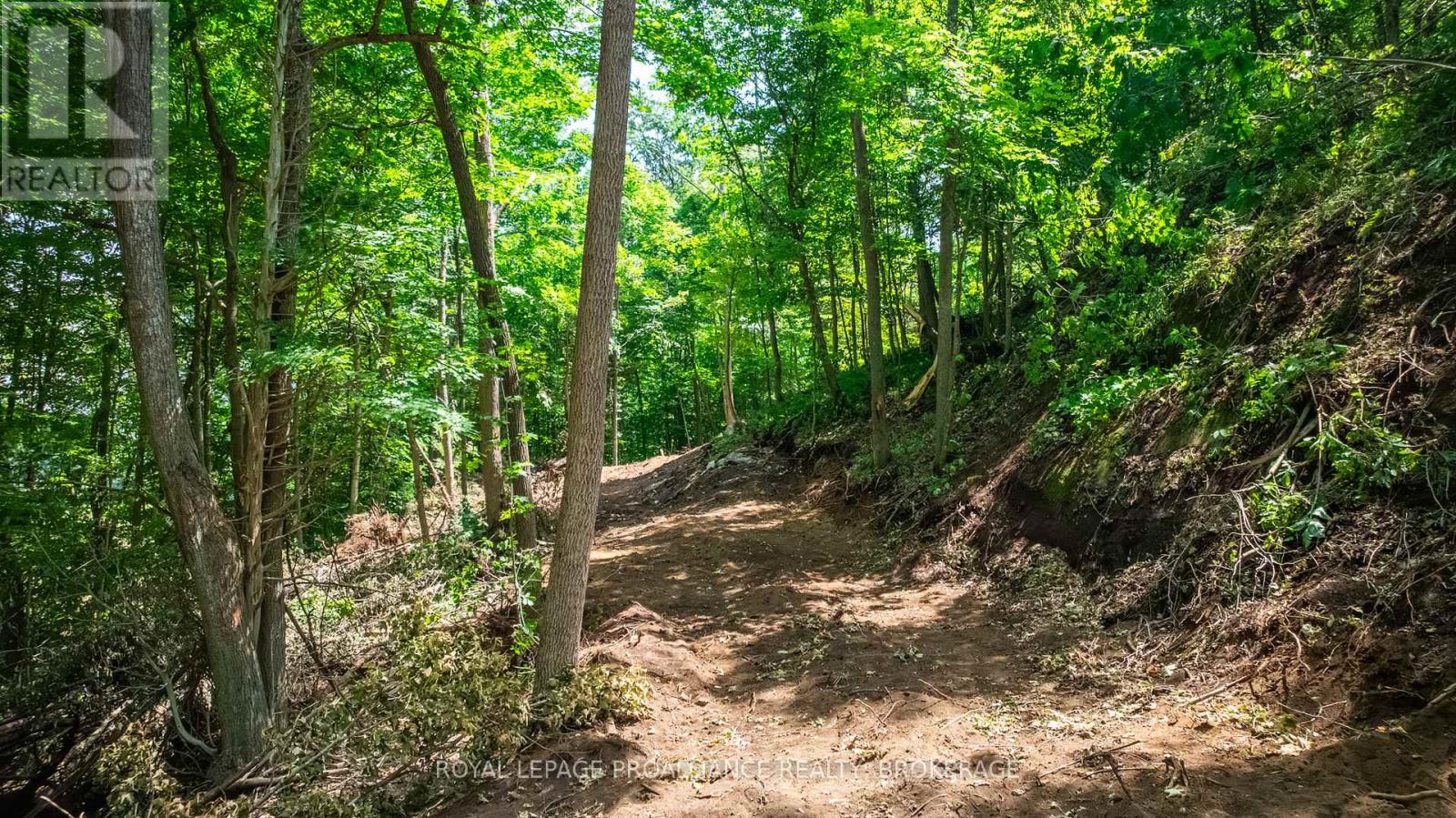LOT 2 TRILLIUM LANE — photo 17