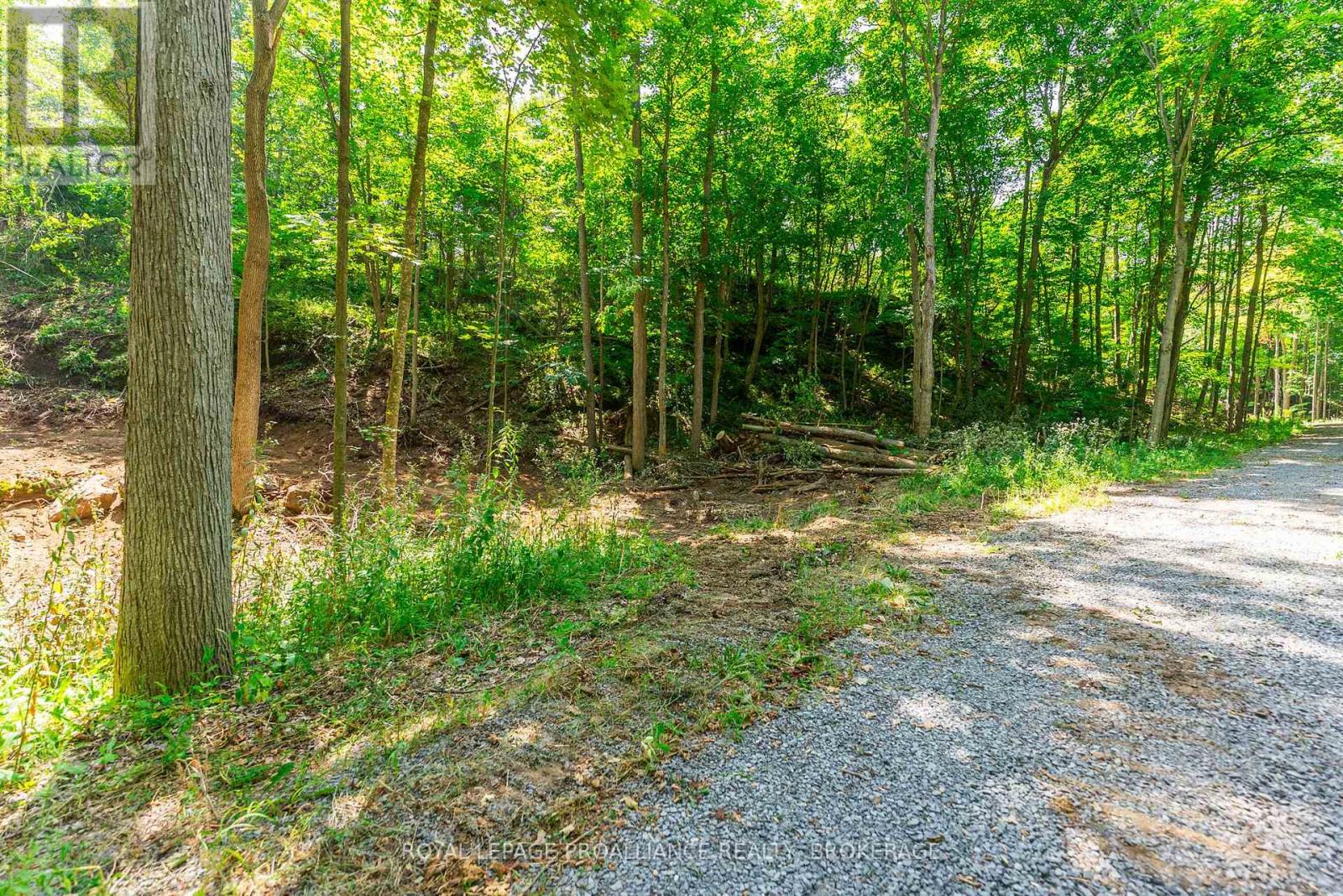 LOT 2 TRILLIUM LANE — photo 23
