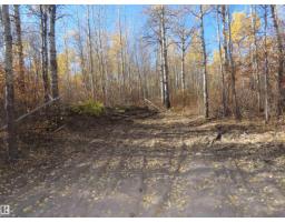 Rr 31 Museum Road, Rural Lac Ste  Anne County, AB T0E1V0 Photo 6