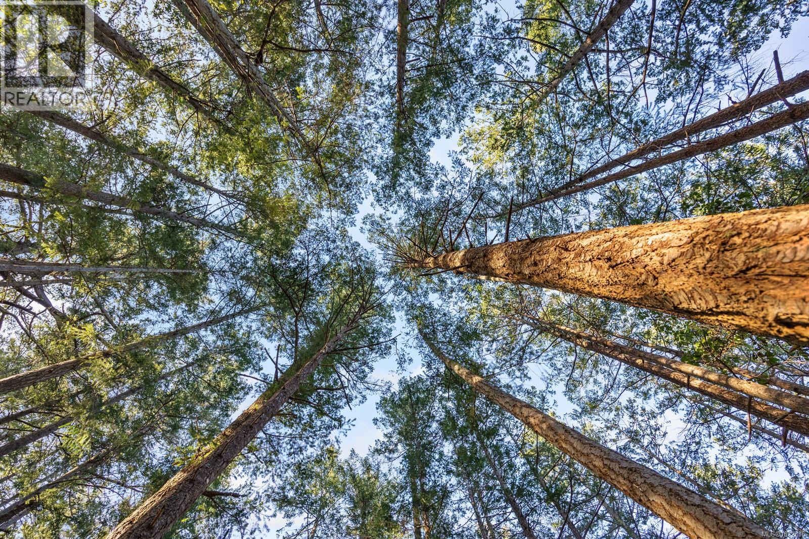 8 Windham Rd, Lasqueti Island