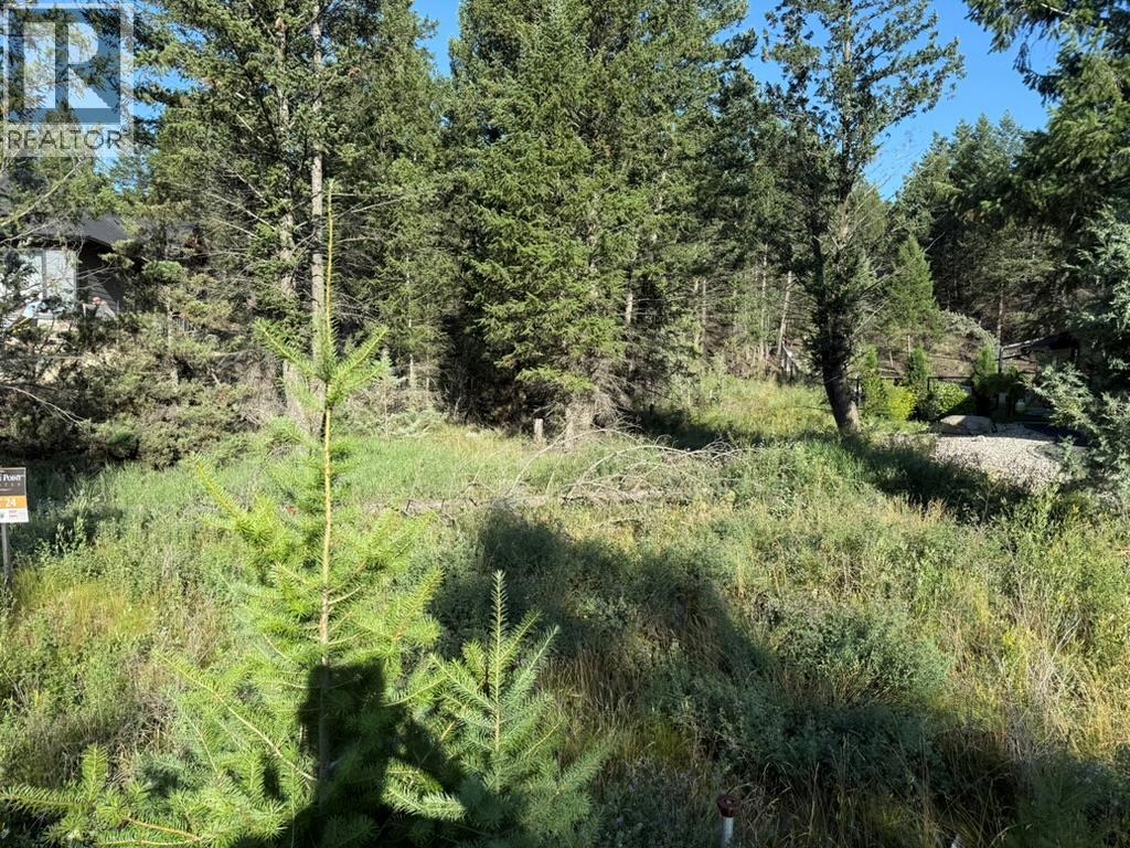side of lot