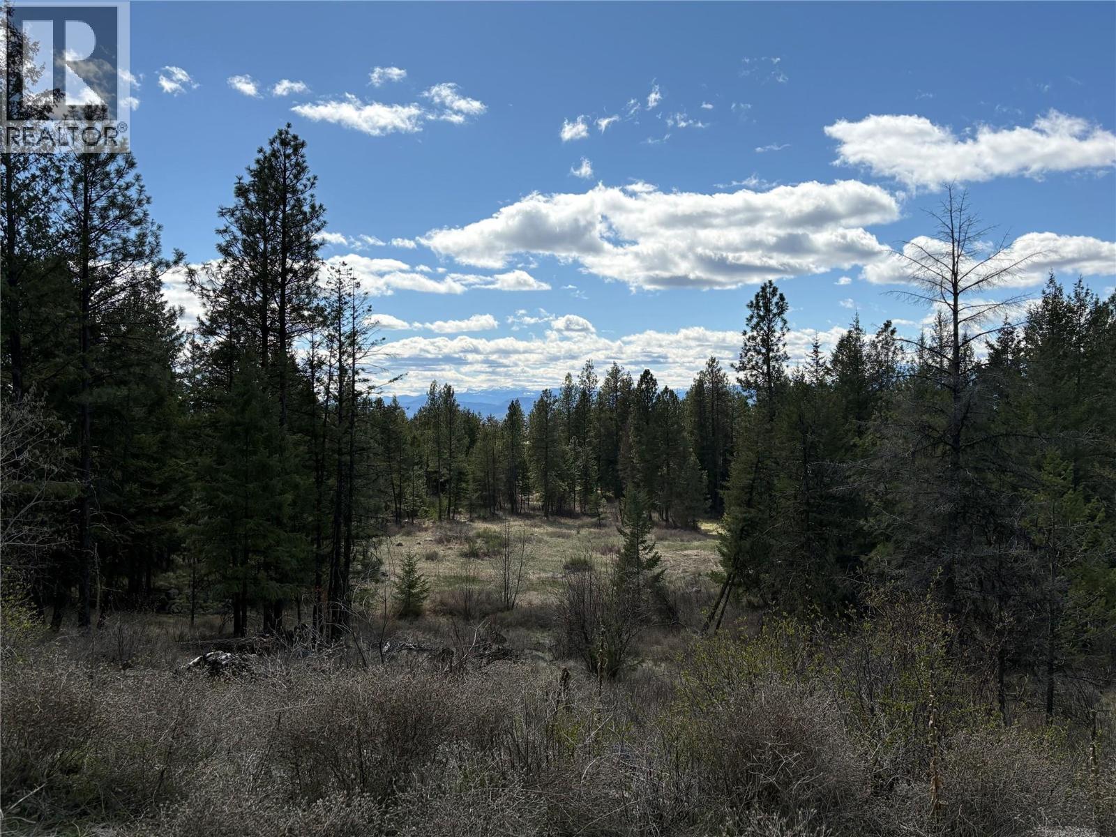  100 Bullmoose Court, Osoyoos