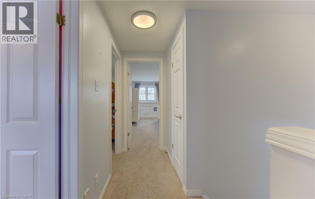 Hallway with carpet flooring, white paneled doors, and a flush mount ceiling light fixture