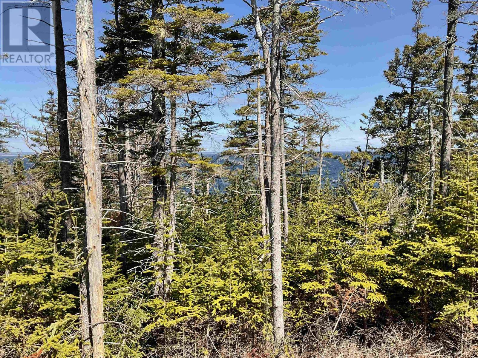 Property 7 of 9 of 23-1 Hendsbee Wharf Road