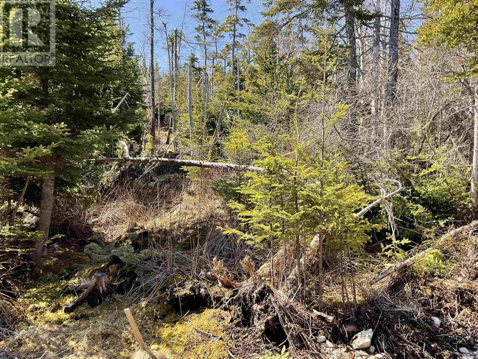 Property 8 of 10 of 23-3 Hendsbee Wharf Road