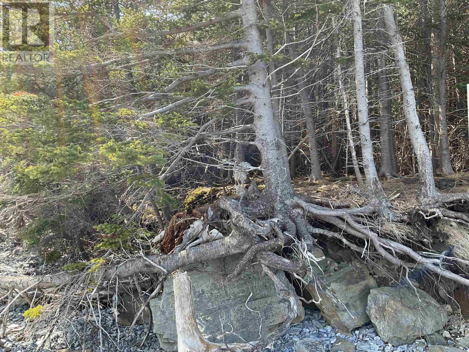 Property 6 of 10 of 23-3 Hendsbee Wharf Road