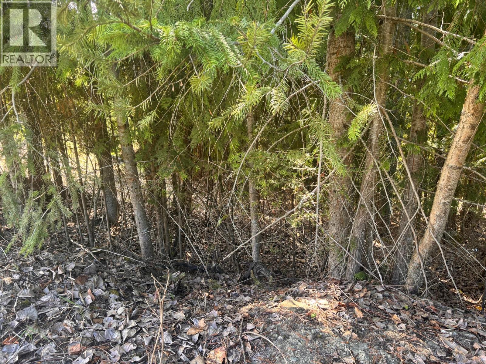 Lot 8 Stampede Trail — photo 5