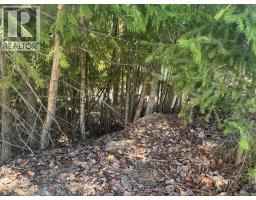 Lot 8 Stampede Trail, Anglemont, BC V0E1M8 Photo 6