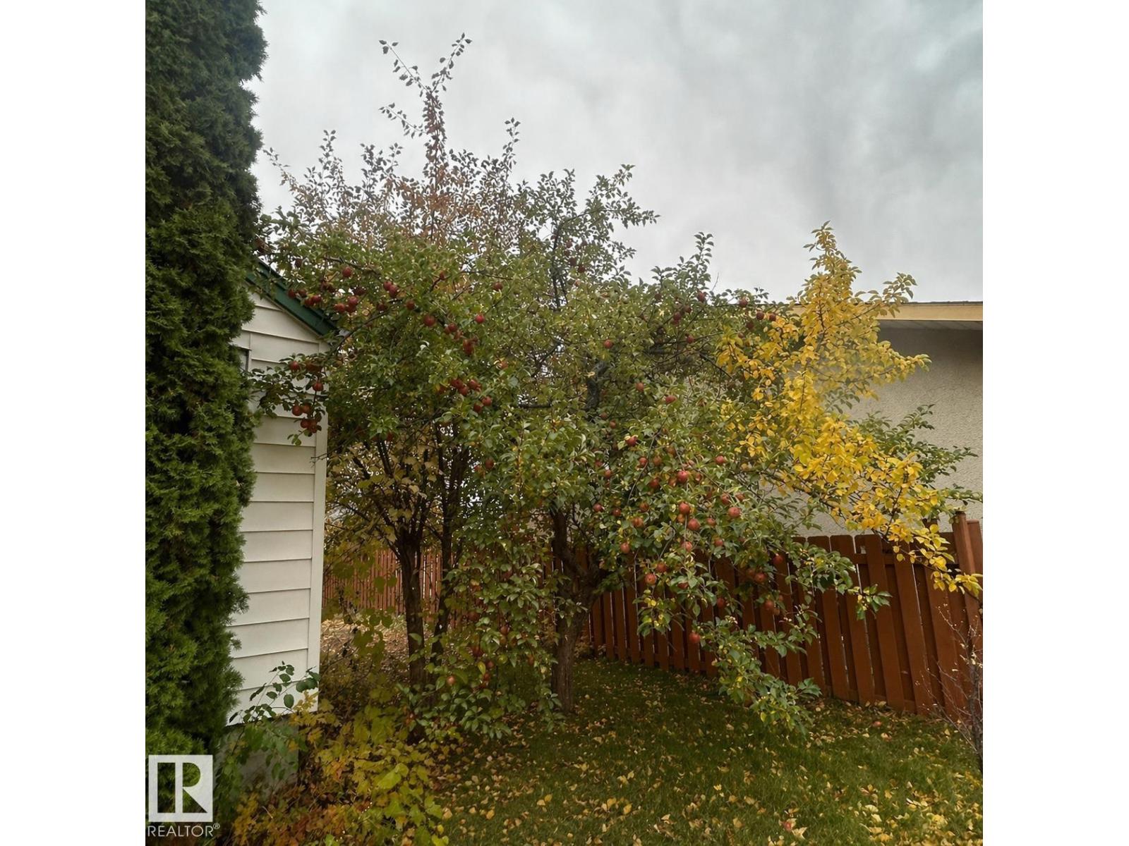 11017 38 ST NW, Edmonton