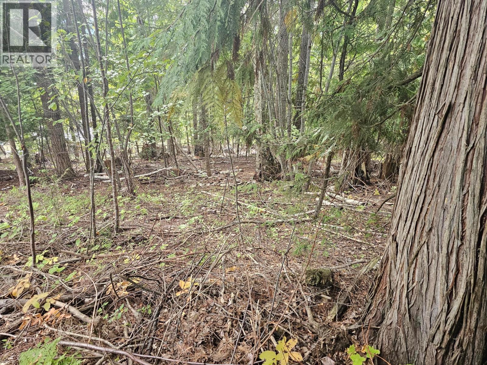 Lot 389 Anglemont Way — photo 12