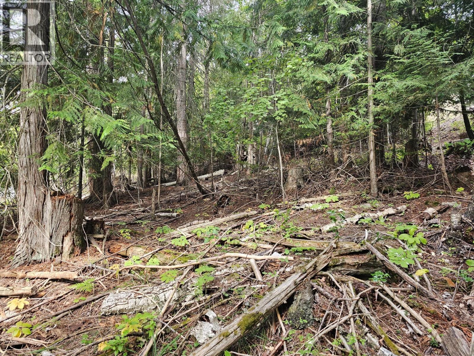 Lot 389 Anglemont Way — photo 13