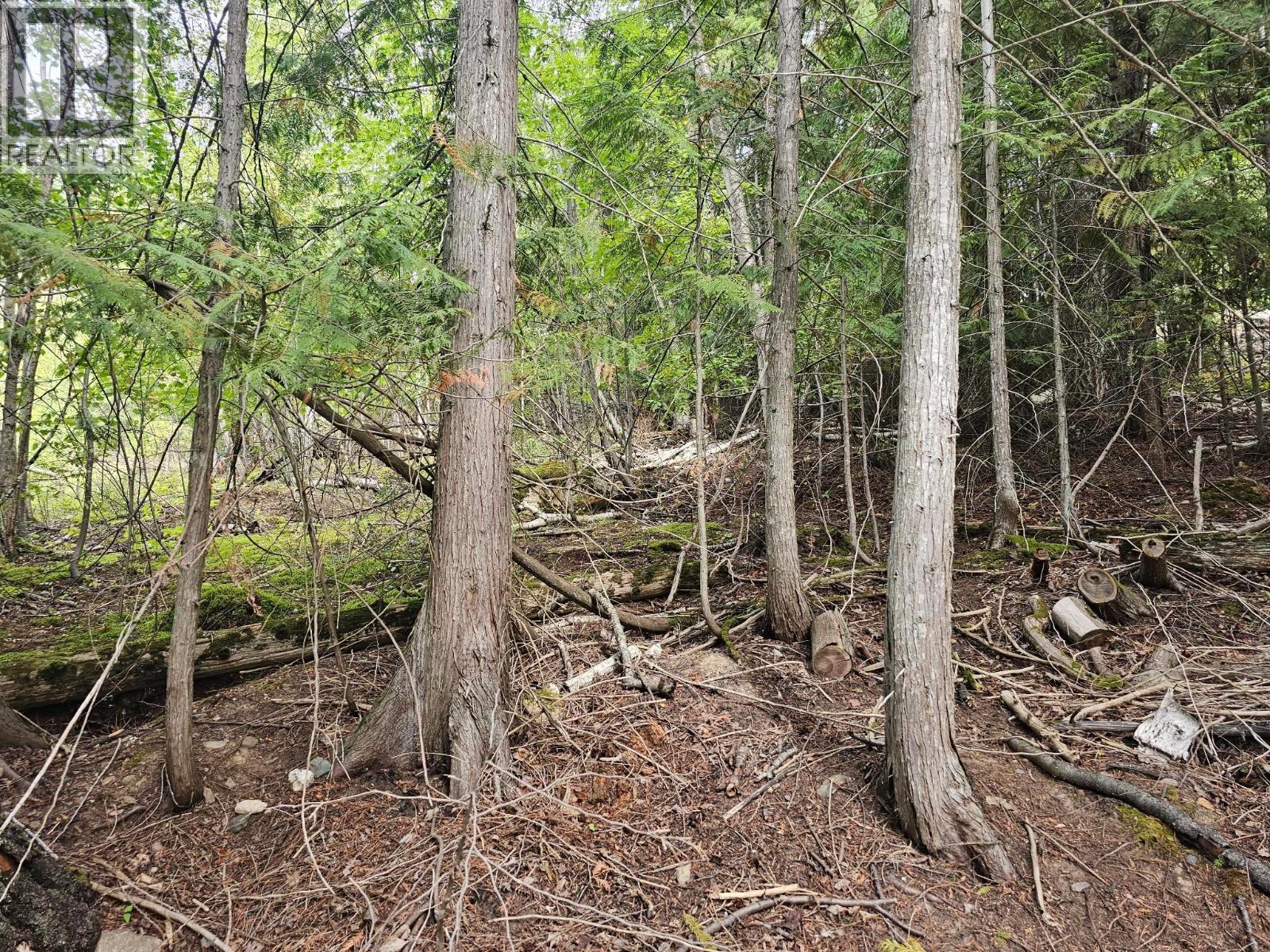 Lot 389 Anglemont Way — photo 16