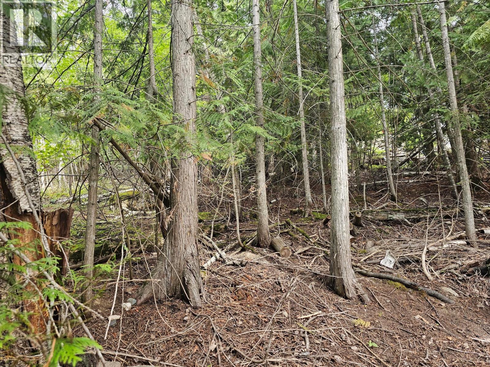 Lot 389 Anglemont Way — photo 17