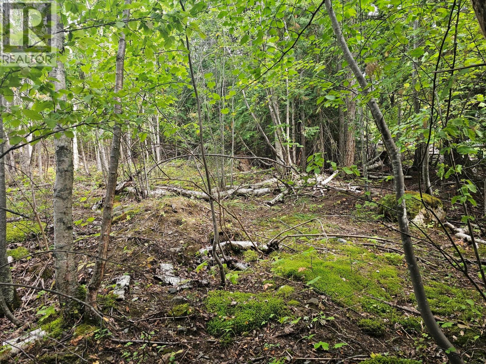 Lot 389 Anglemont Way — photo 18