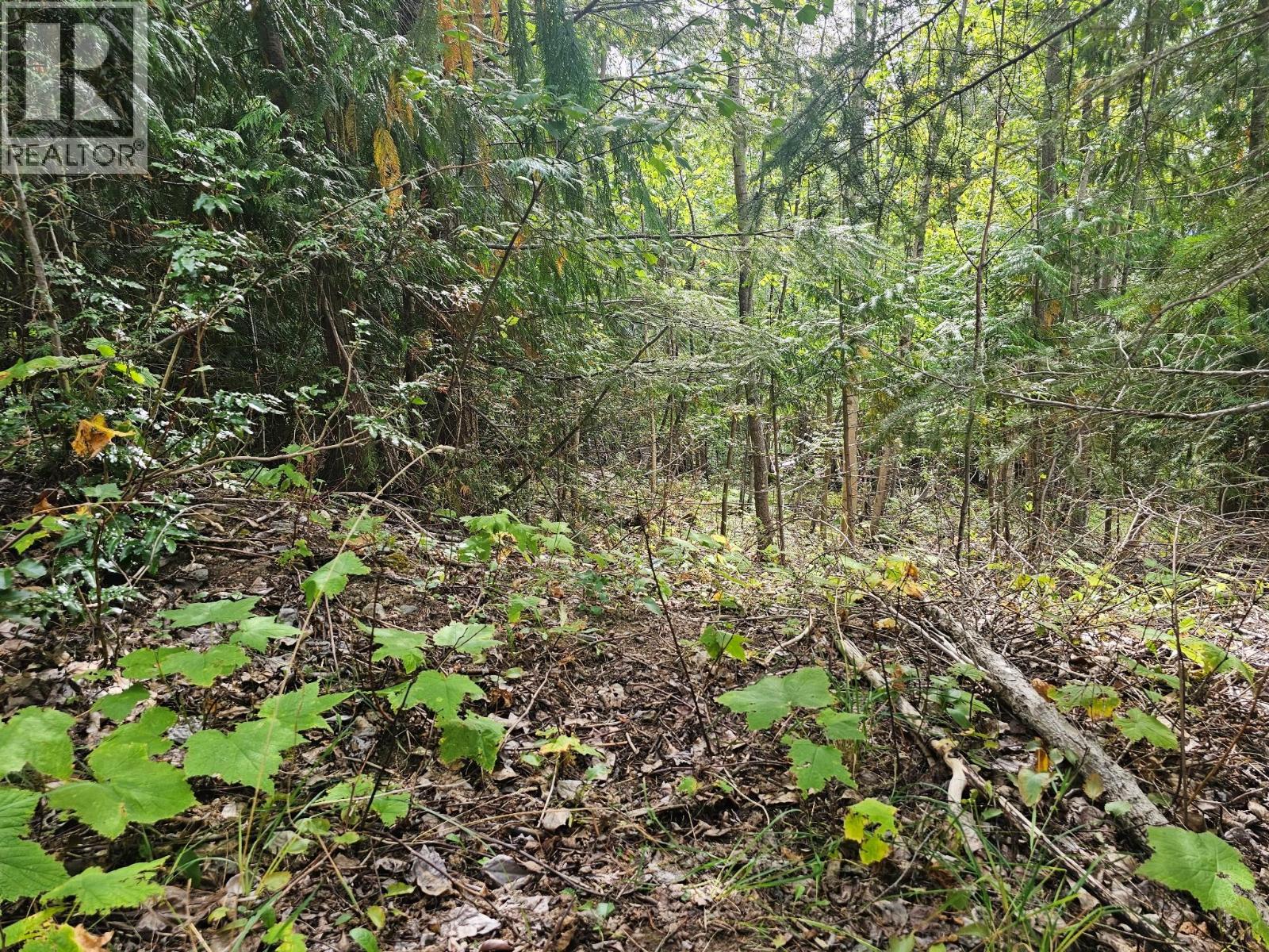 Lot 389 Anglemont Way — photo 21