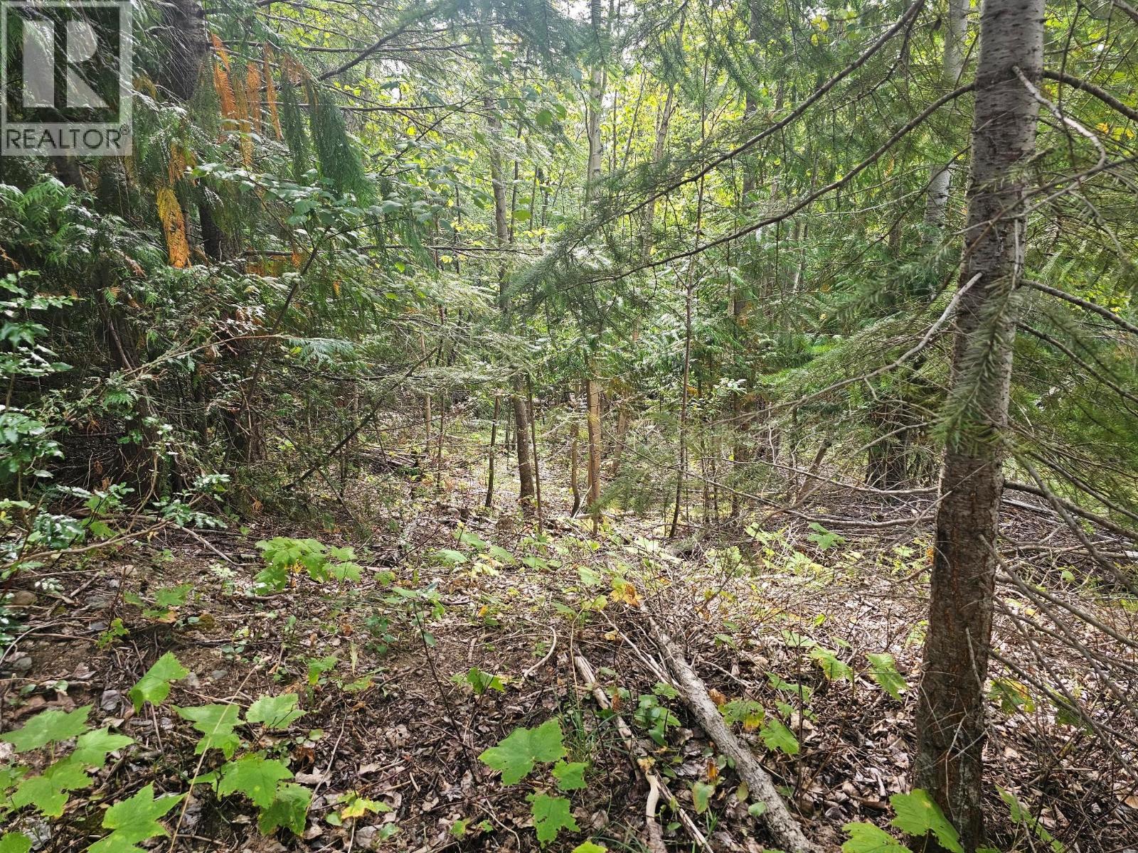Lot 389 Anglemont Way — photo 22