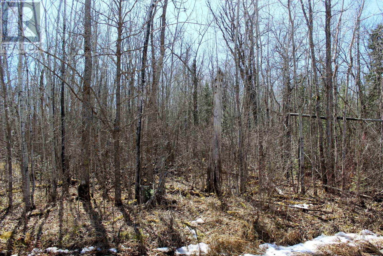 PCL 11483 BUDREAU RD, RAINY RIVER, Ontario, P0W1L0 — Photo 19