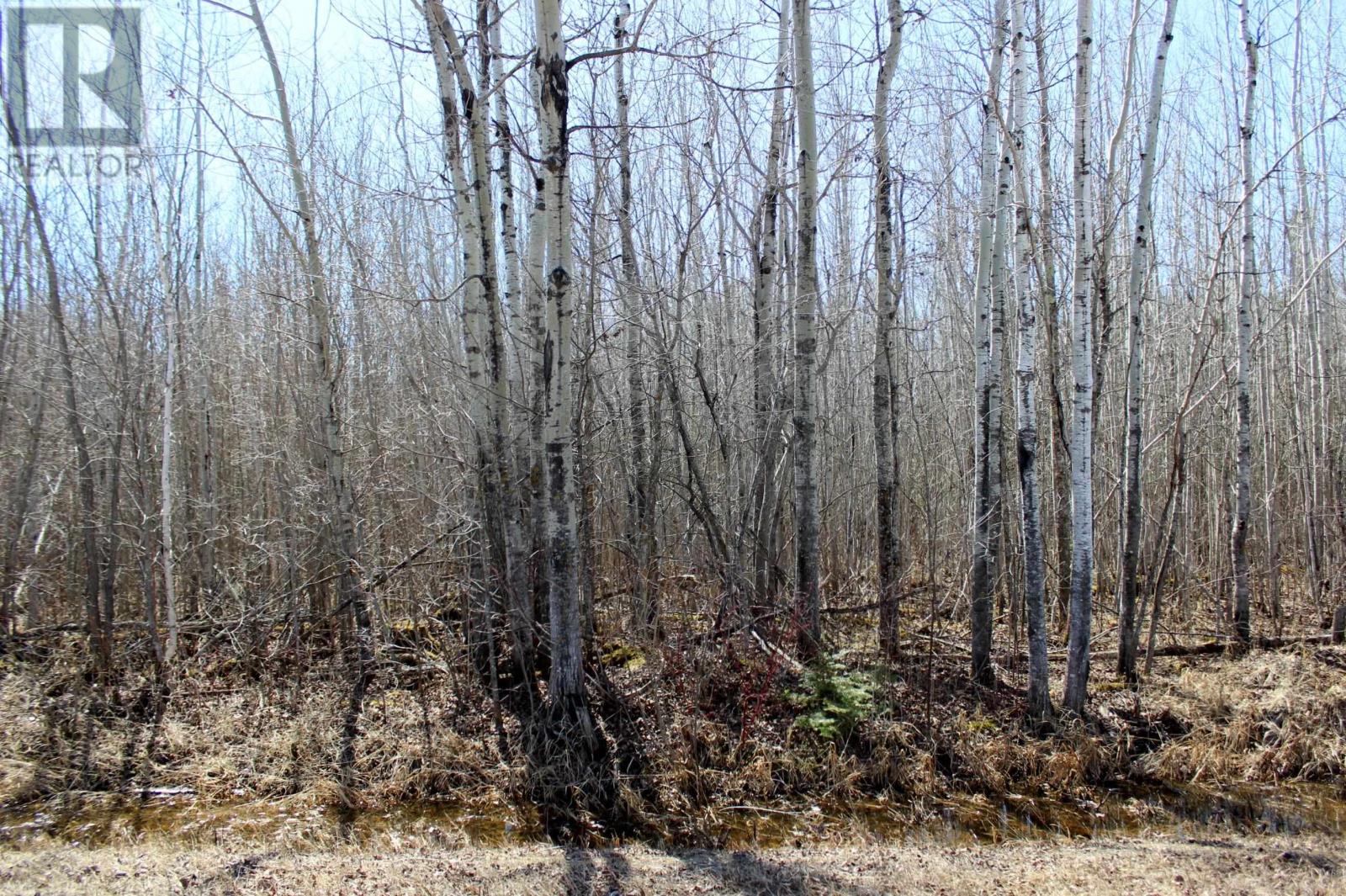 PCL 11483 BUDREAU RD, RAINY RIVER, Ontario, P0W1L0 — Photo 15