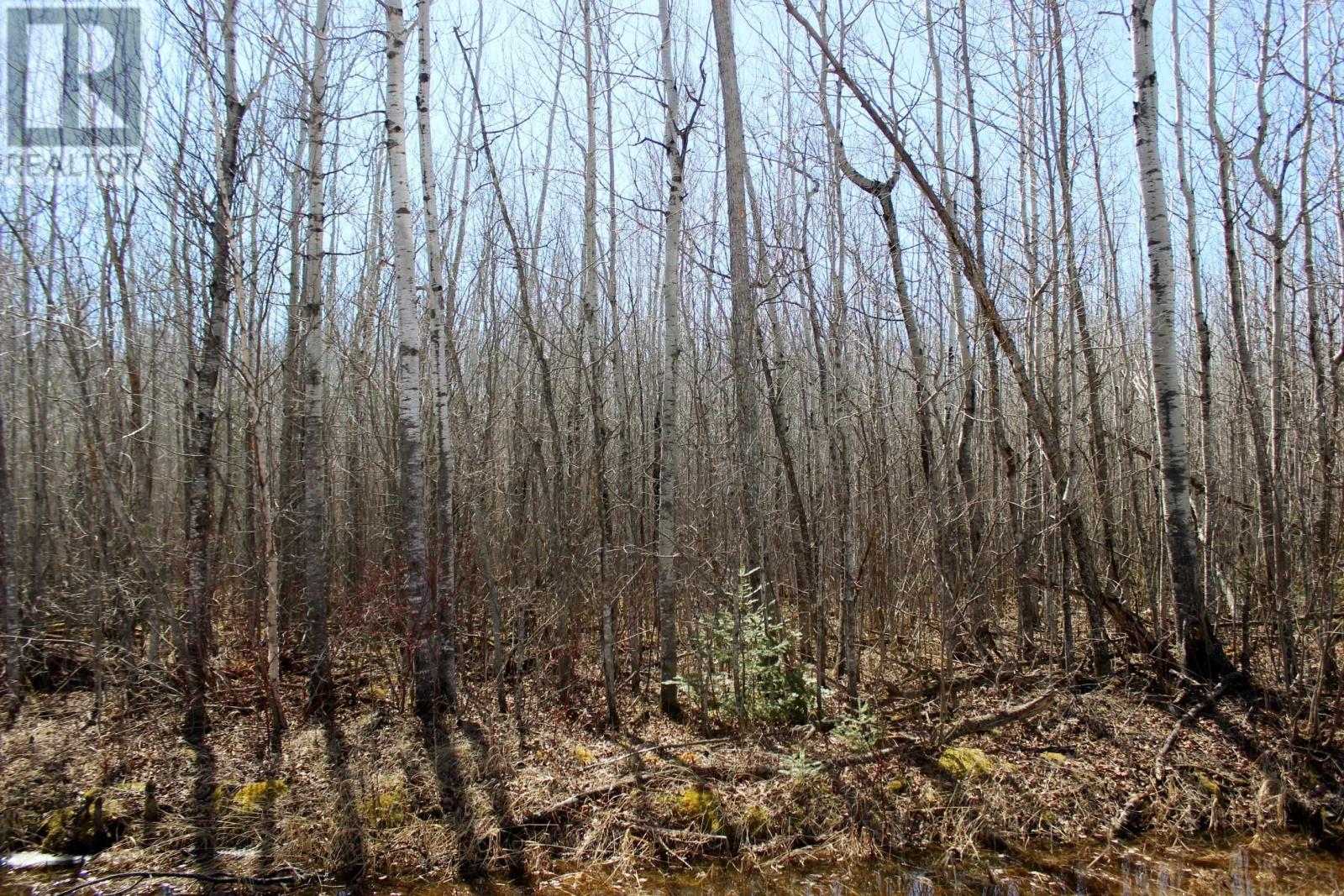 PCL 11483 BUDREAU RD, RAINY RIVER, Ontario, P0W1L0 — Photo 16