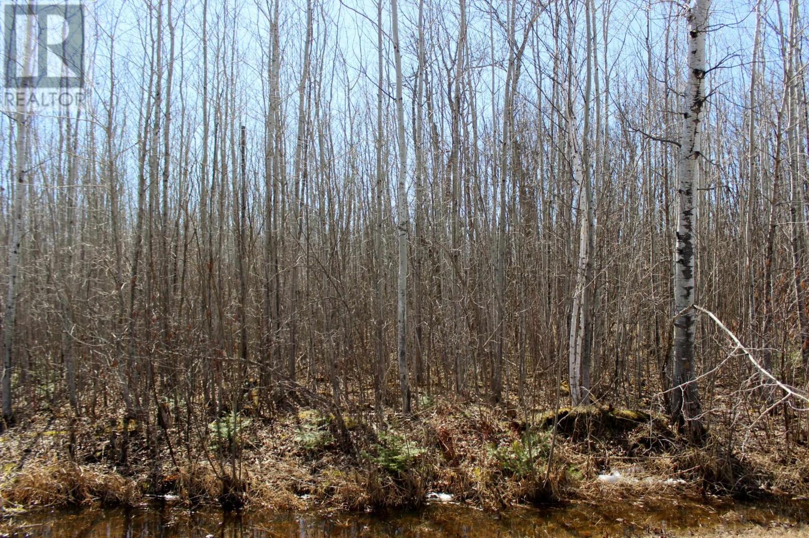 PCL 11483 BUDREAU RD, RAINY RIVER, Ontario, P0W1L0 — Photo 17