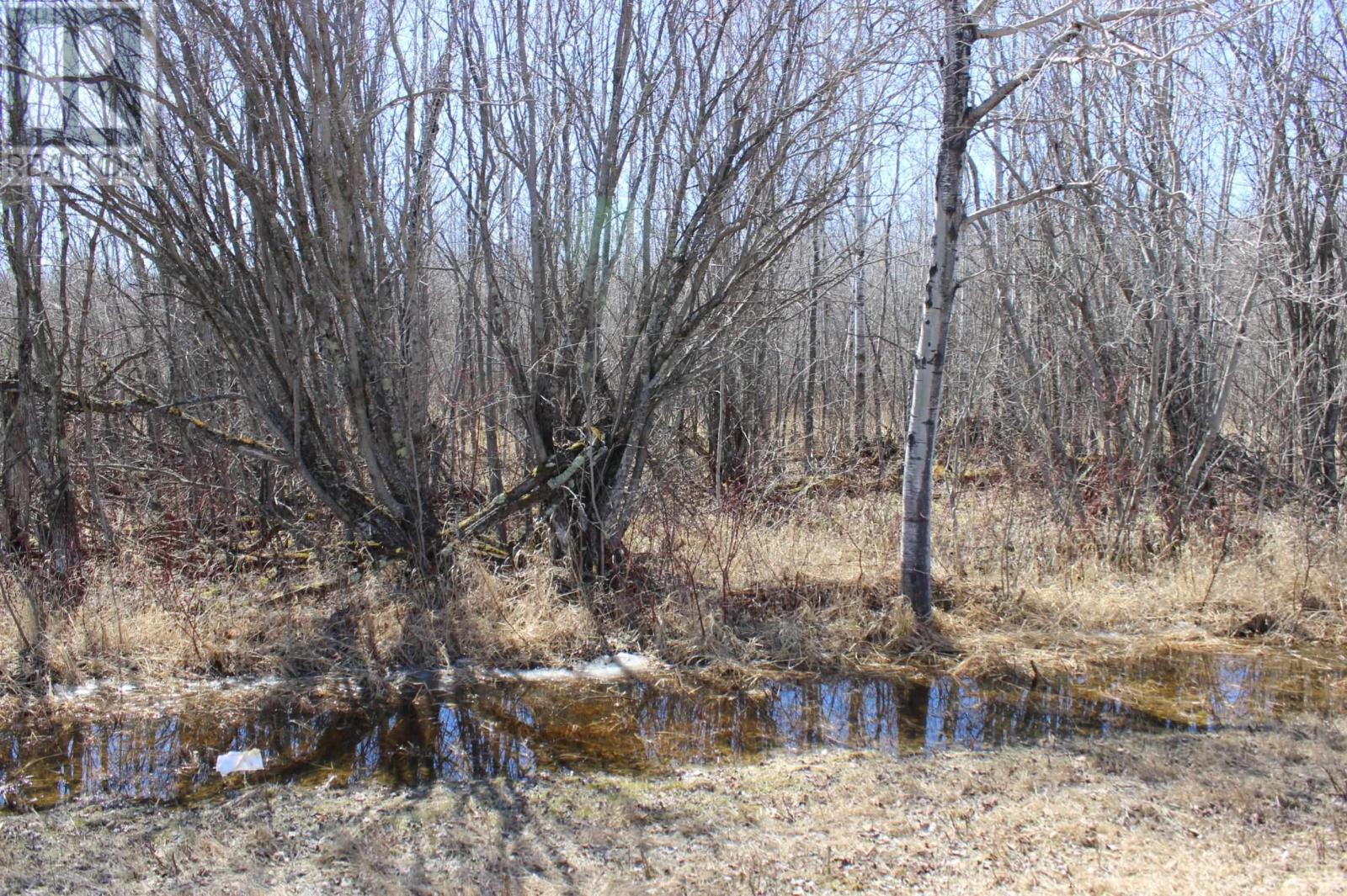 PCL 11483 BUDREAU RD, RAINY RIVER, Ontario, P0W1L0 — Photo 13