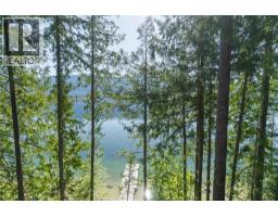9000 Seymour Arm Main Fsr Unit# 12 & 13, Seymour Arm, BC V0E1M0 Photo 49