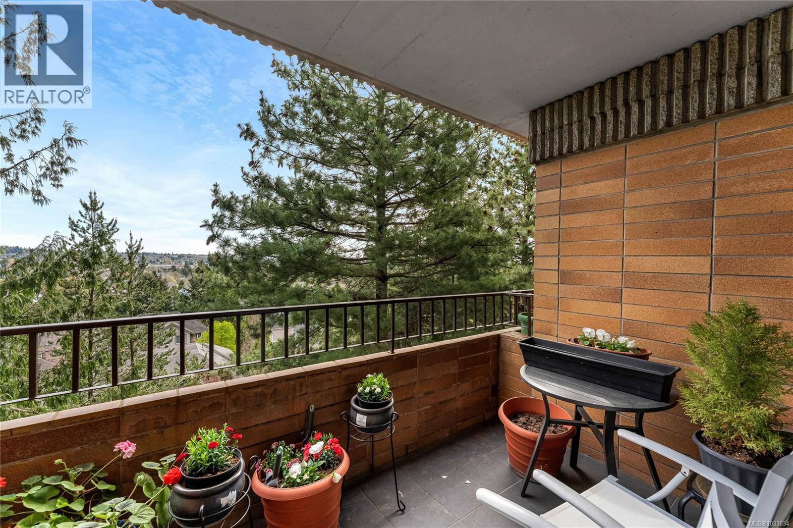 #205 2910 Cook St - 11